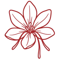 Kashmiri Mongra Saffron
