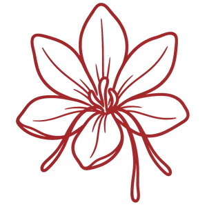 Kashmiri Mongra Saffron